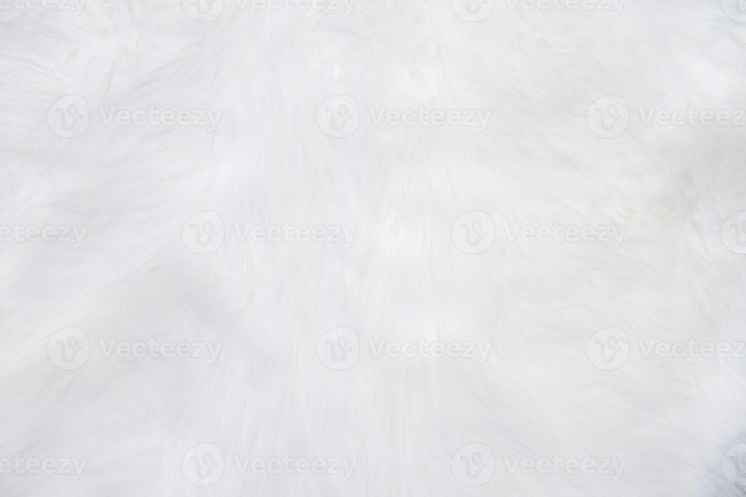 Background texture is a gray bare cement wall. photo