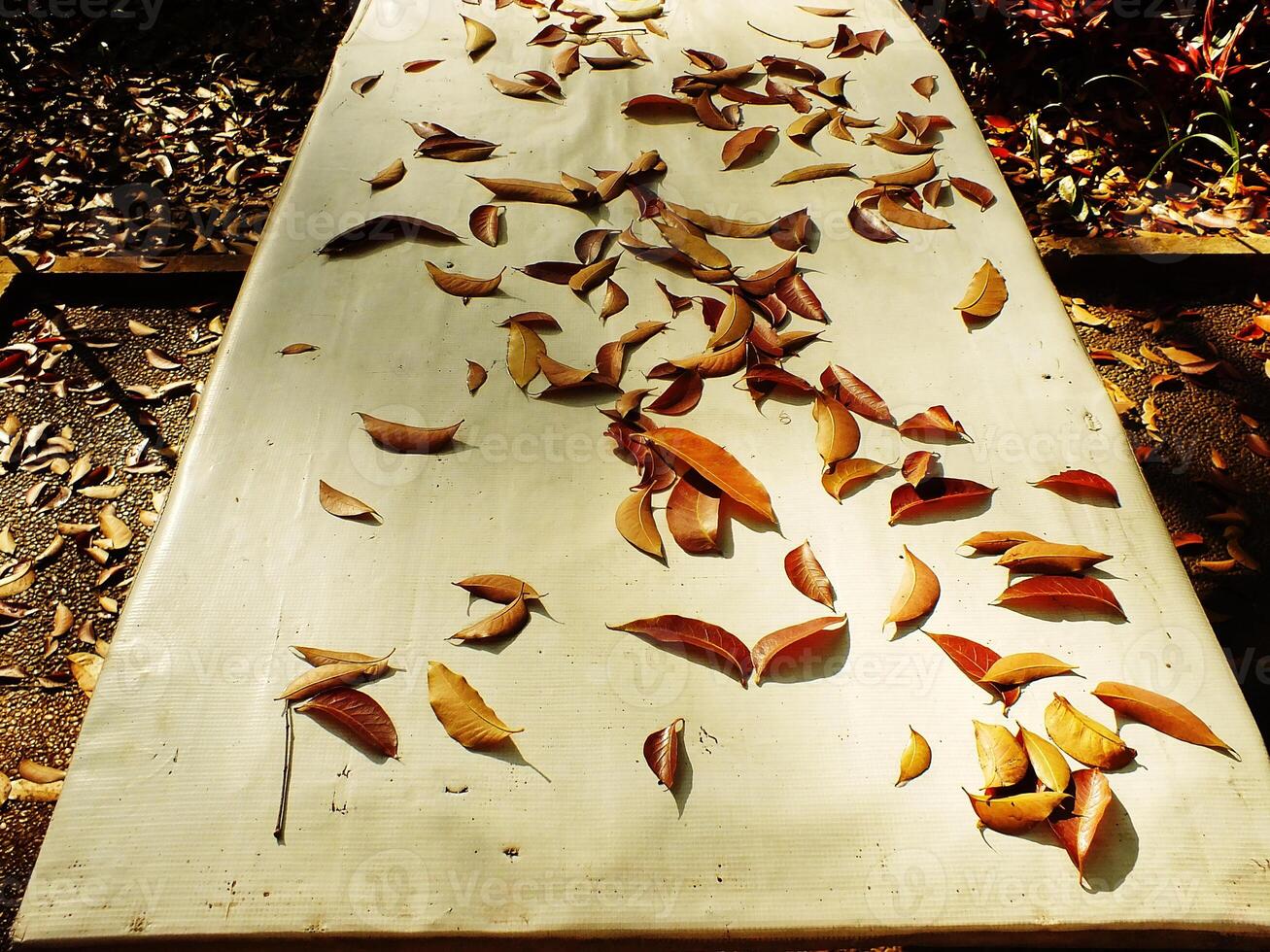 A table covered in leaves near the park on a sidewalk. The leaves are scattered all over the table and the ground photo