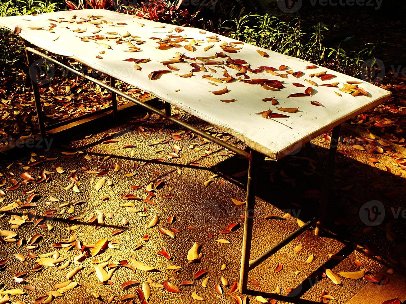 A table covered in leaves near the park on a sidewalk. The leaves are scattered all over the table and the ground photo