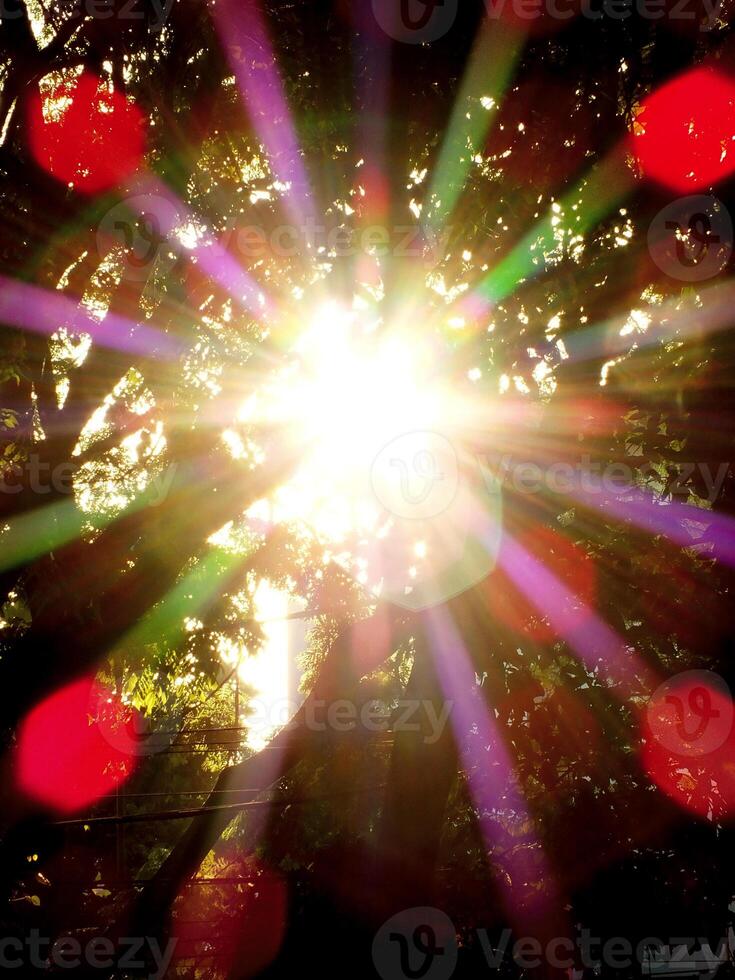 A bright sun is shining through the trees, casting a colorful glow. The light is scattered and diffuse, creating a sense of warmth and tranquility photo