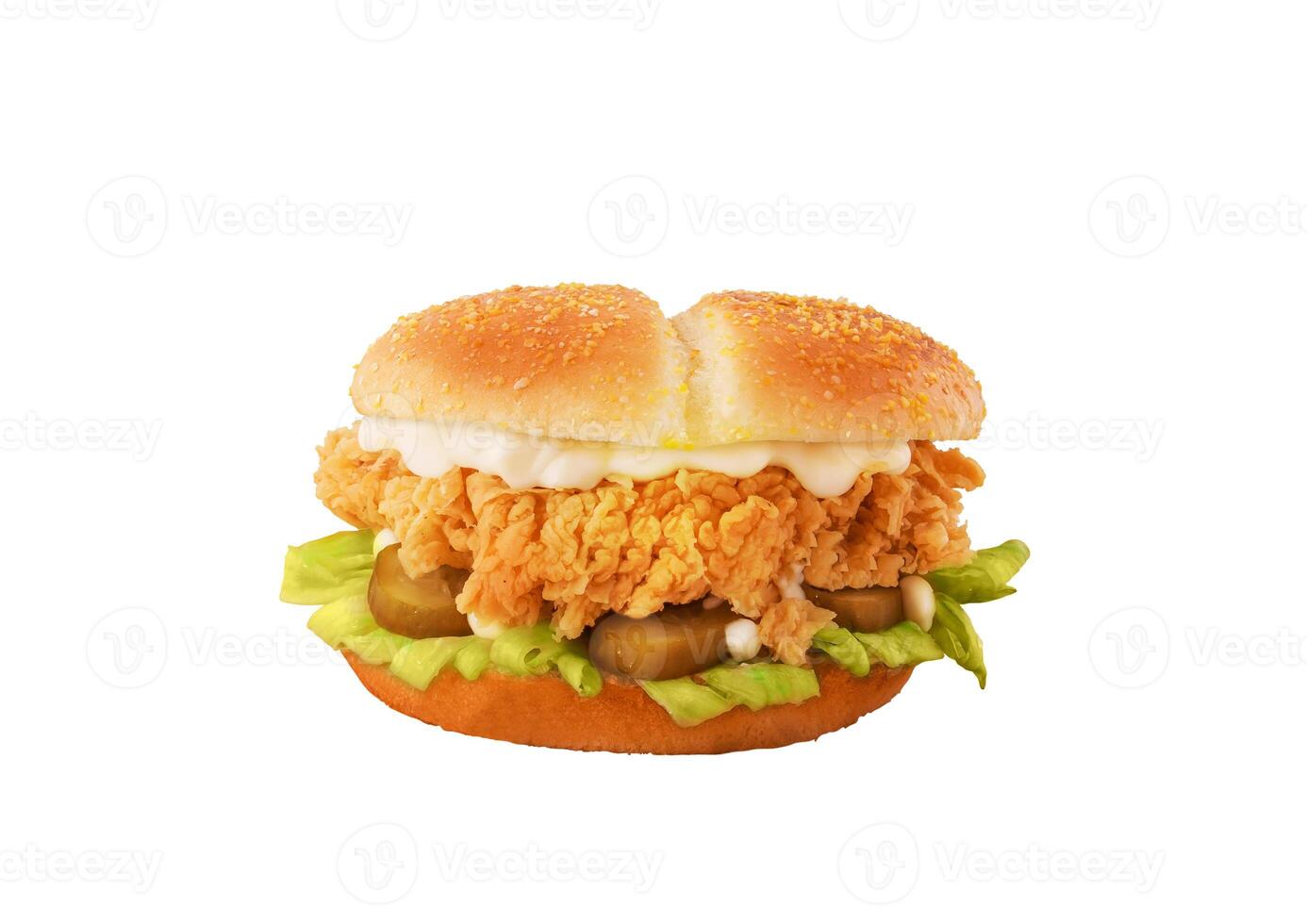 Crispy Chicken Burger isolated on white background photo