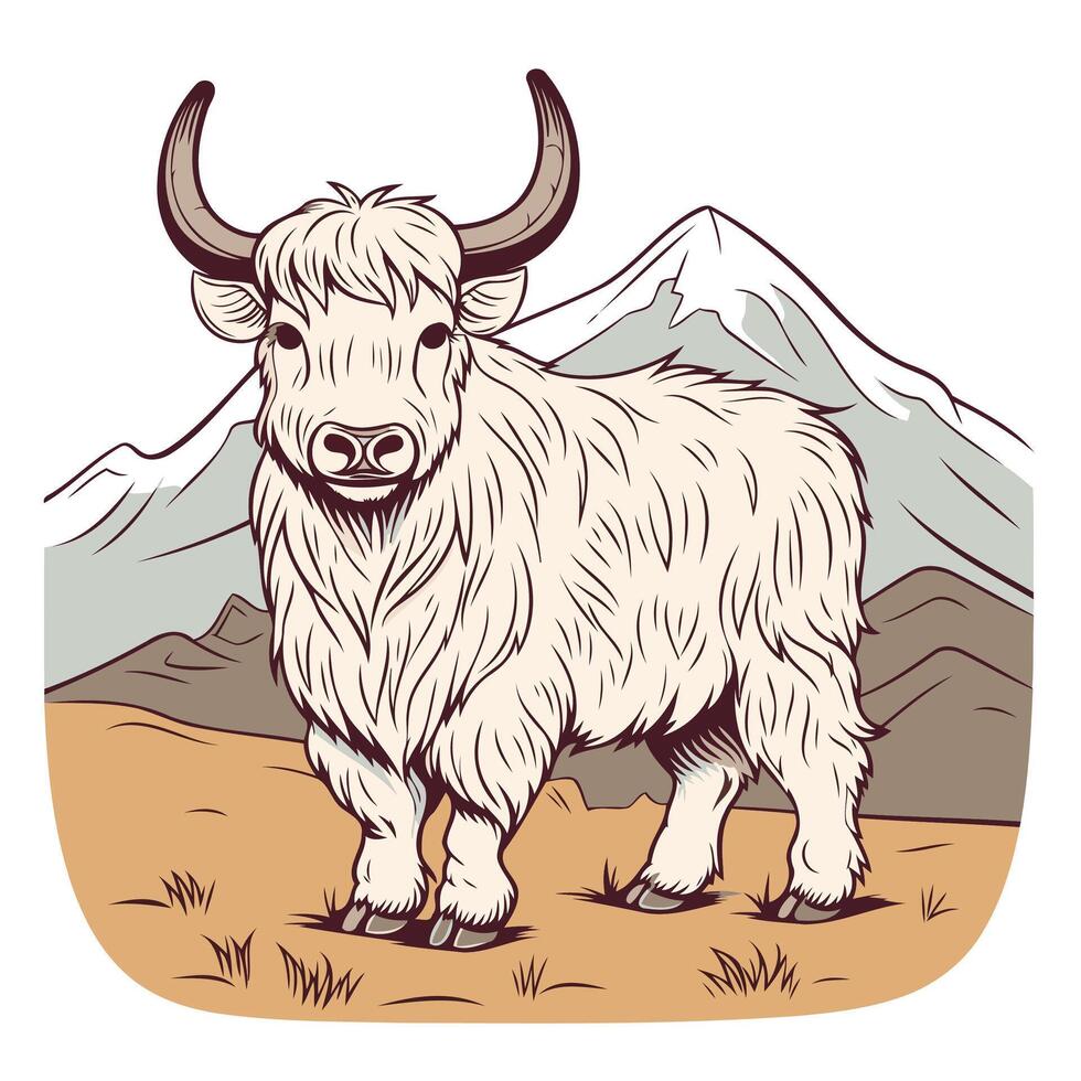 Yak in the mountains illustration vector