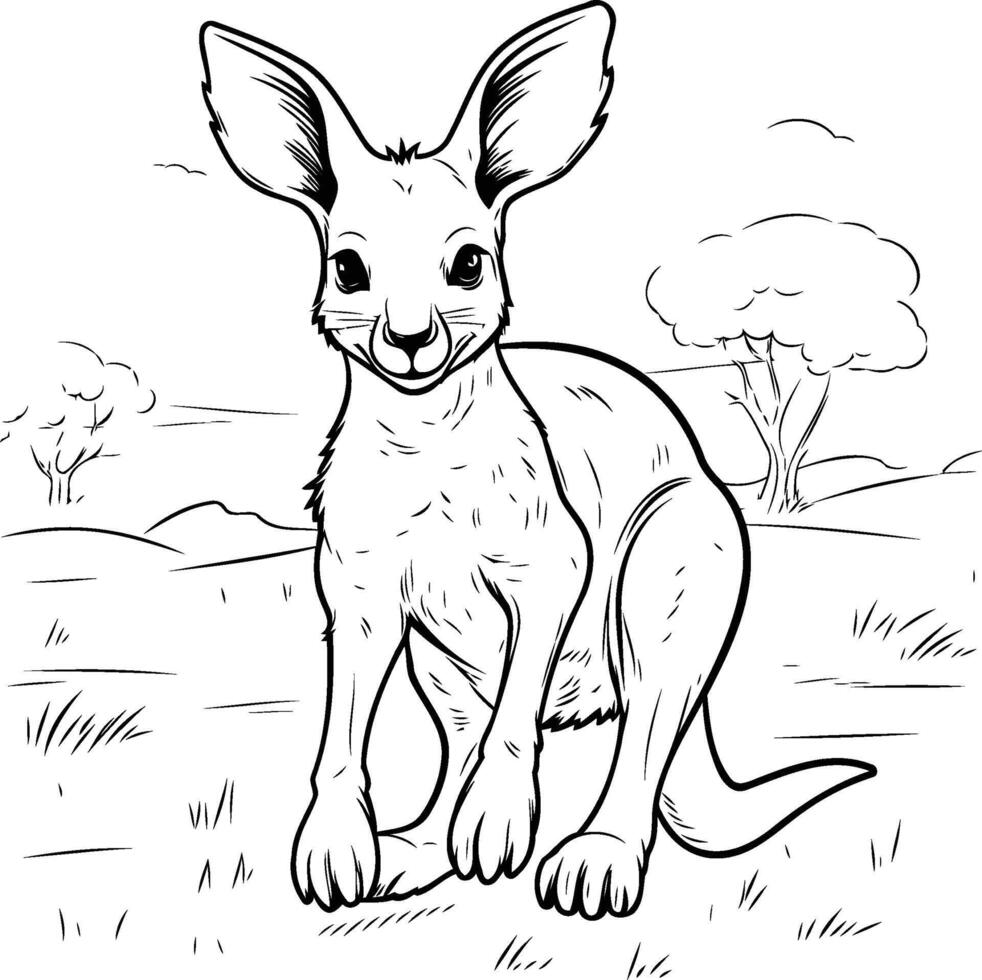Australian kangaroo coloring pages vector