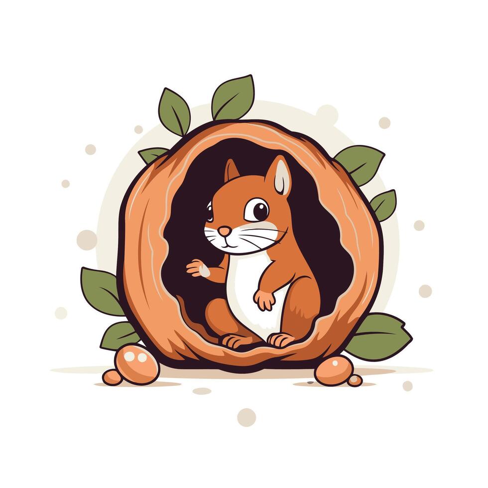 Squirrel in the shell illustration vector