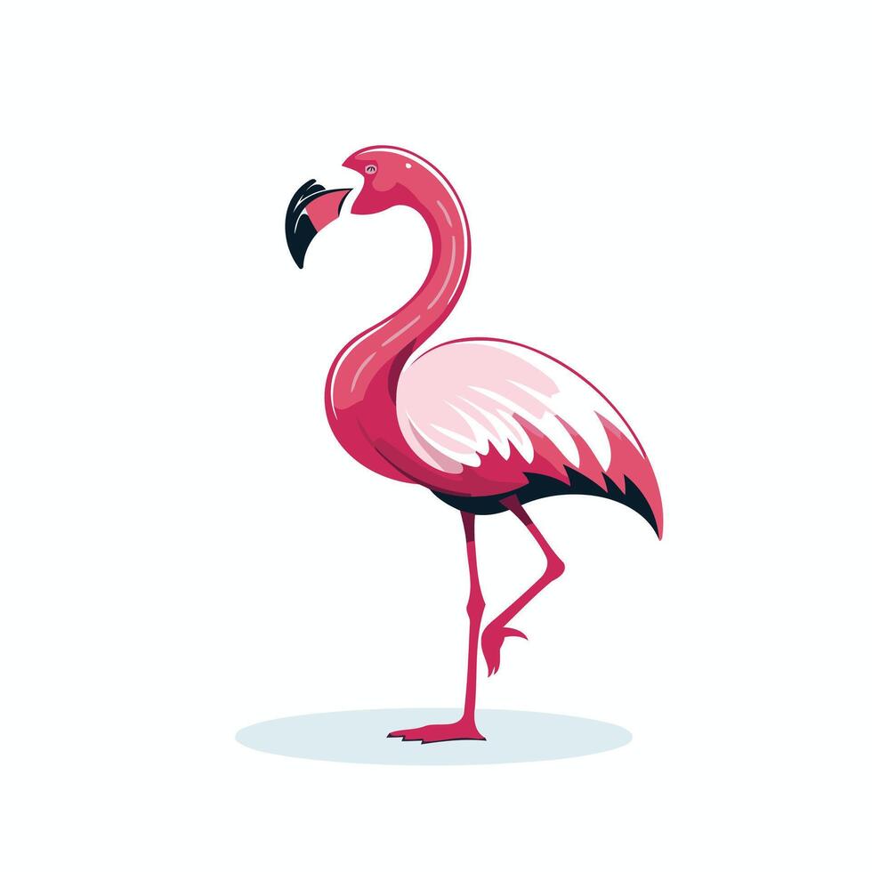 Flamingo standing on one leg, pink and white vector