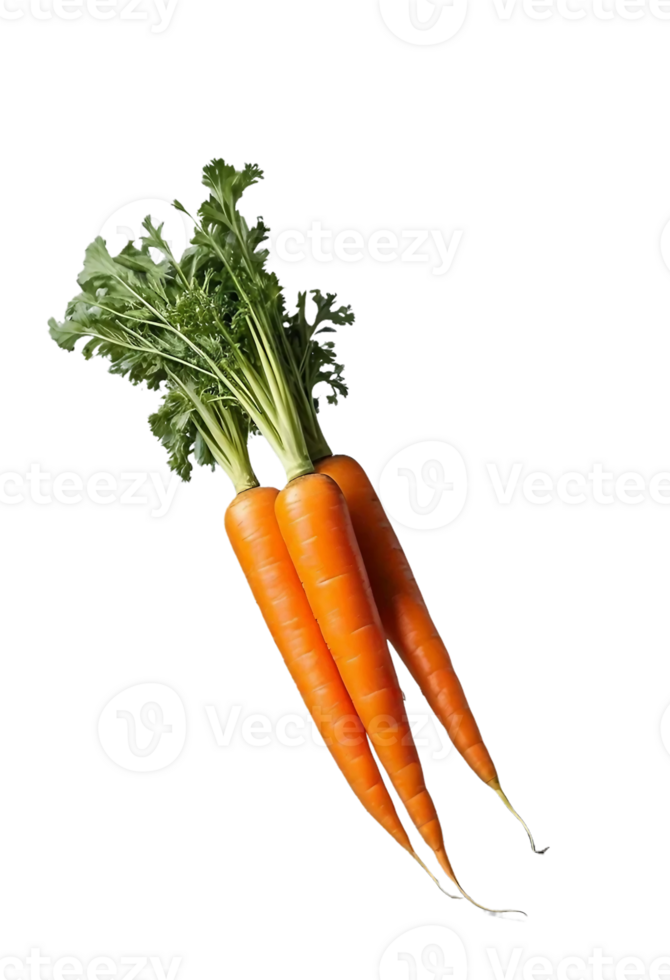 carrots on a transparent background png