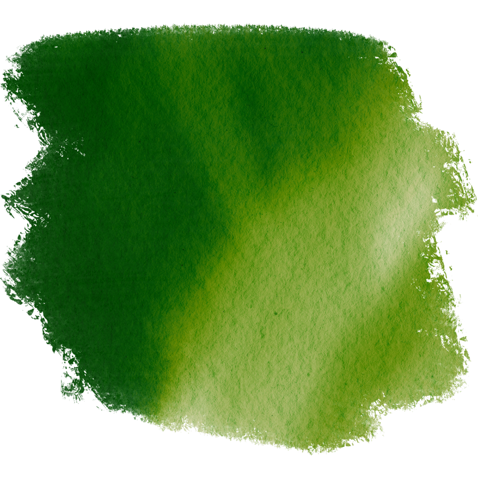 A vivid Green brush stroke with grunge elements resembling a watercolor splash png