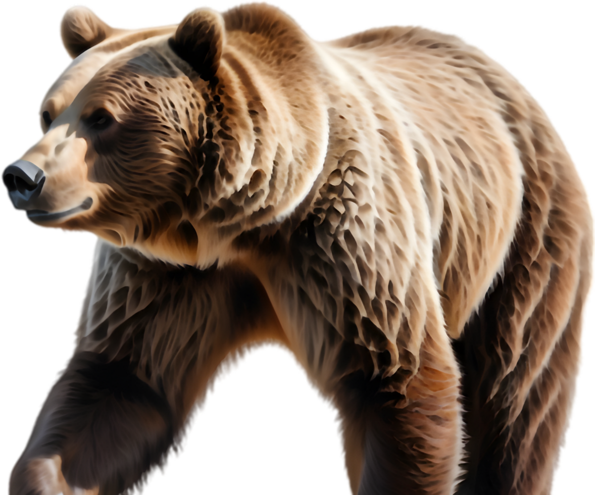 Grizzly Growling at Approaching Danger. . png