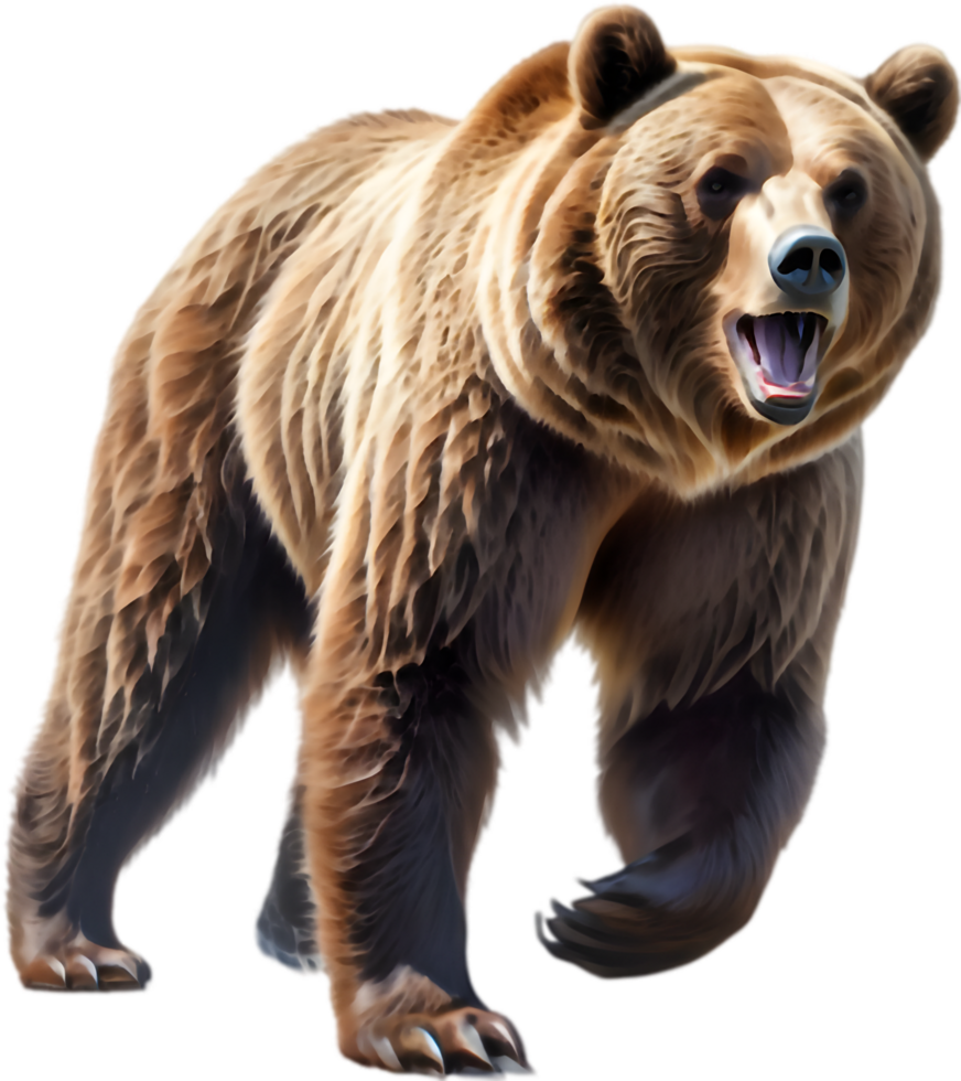 Grizzly Bear Pawprint Trail Design. . png