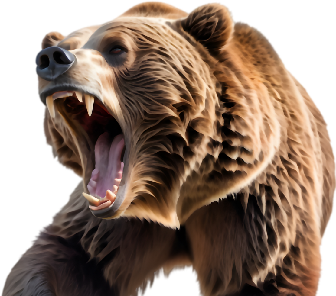 Grizzly Face Emerging from Forest. . png