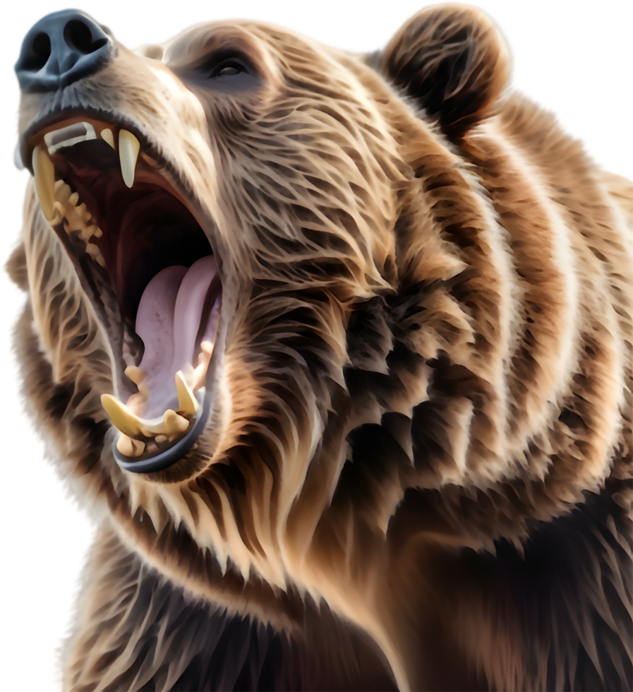 Hibernating Bear in Cave Drawing. .Bear Catching Fish from Stream. png