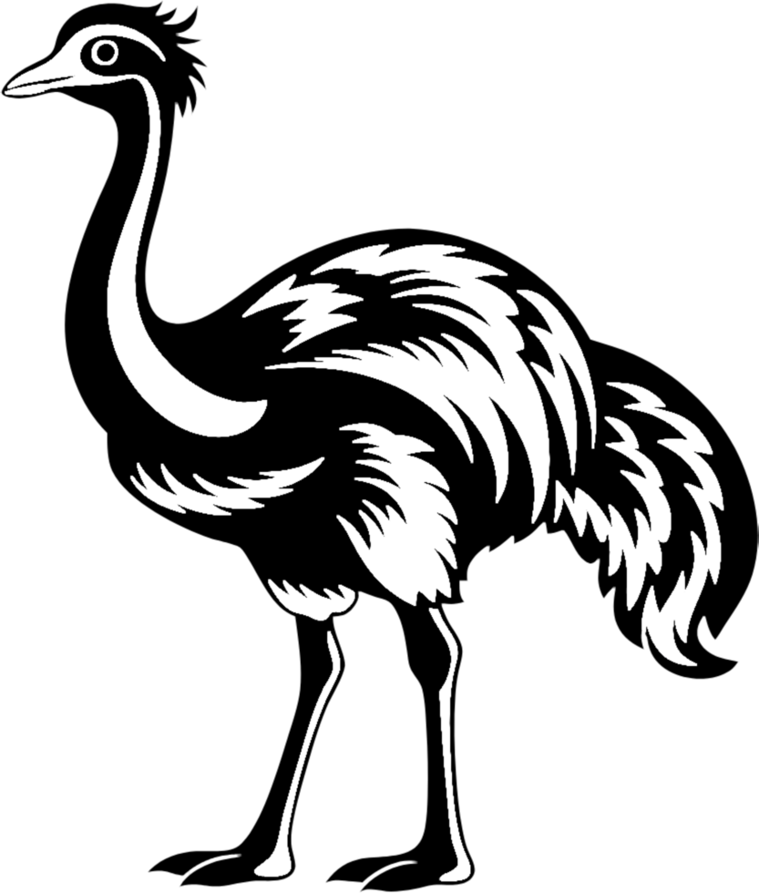 Stylish Black Ostrich Silhouette Clipart Design. . 50171620 PNG