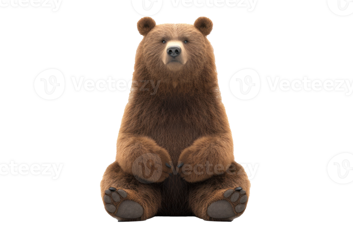 a brown bear sitting on transparent background png
