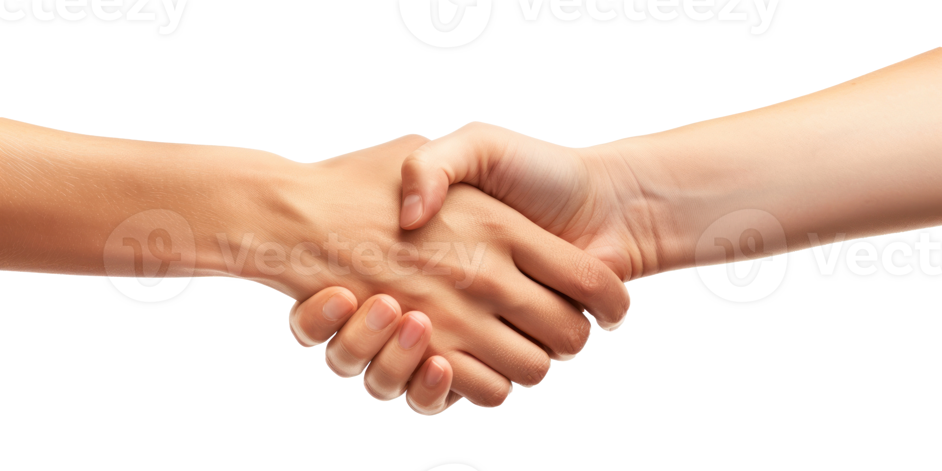 handshake on transparent background png