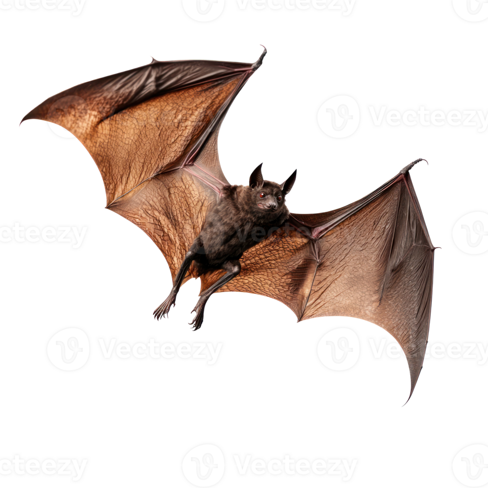 a bat flying on a transparent background png