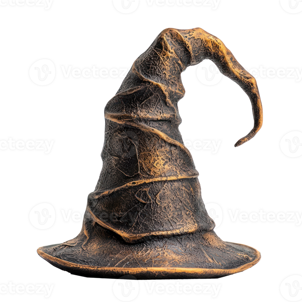 harry potter wizard hat isolate on transparency background png