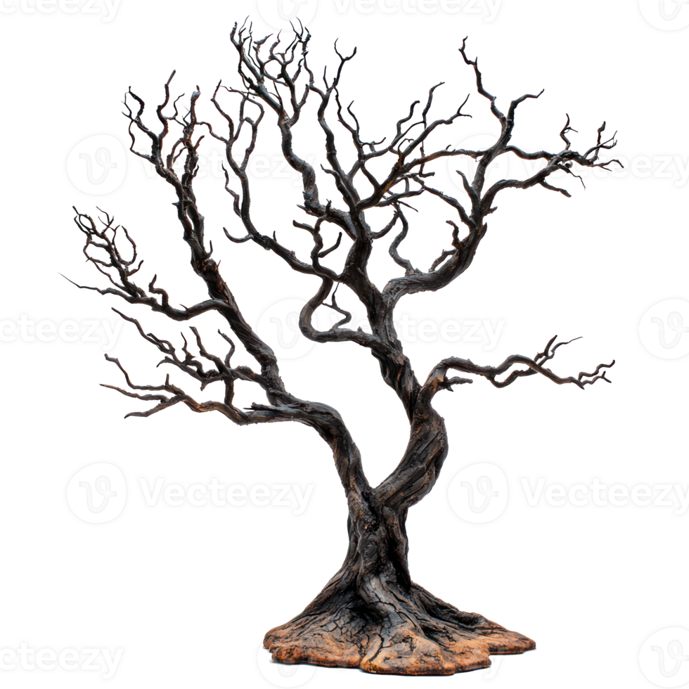 a dead tree on a white background png