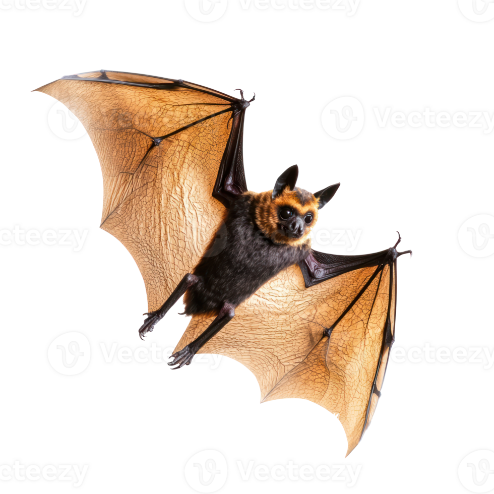 a bat flying in the air on a transparent background png