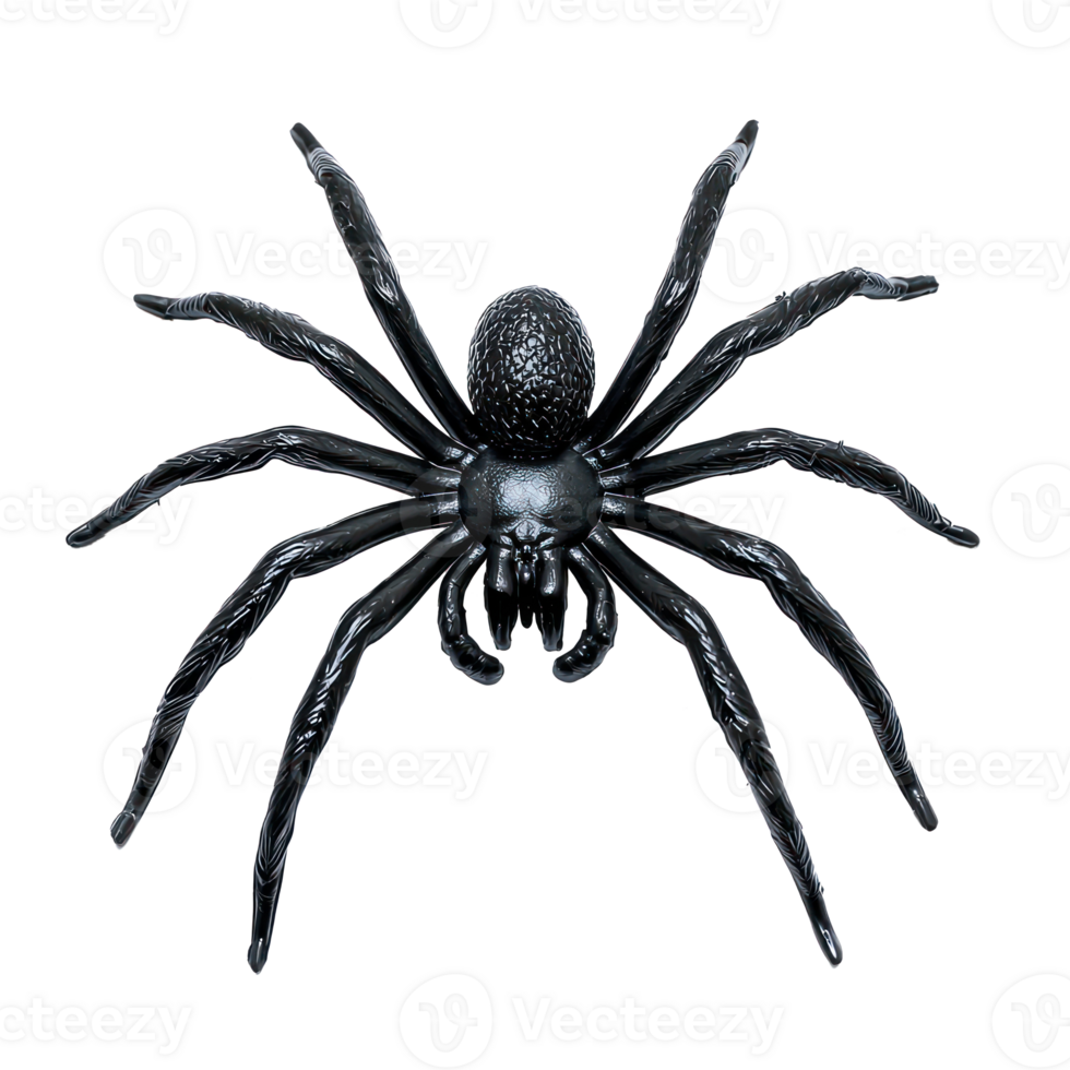 a black spider on a transparent background png