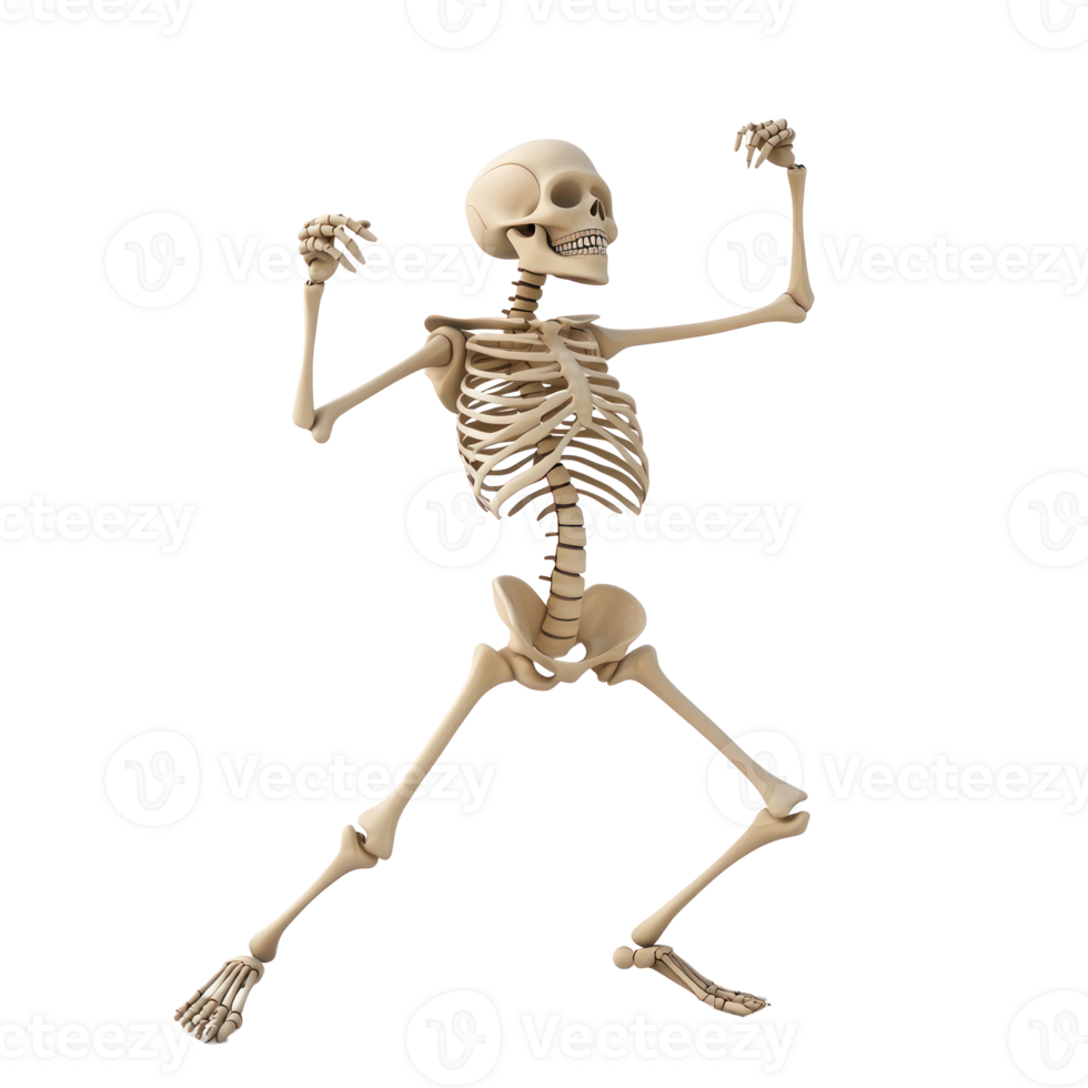a skeleton is dancing on a transparent background png