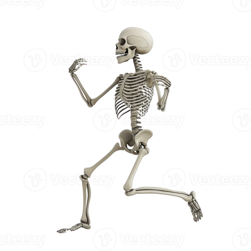 a skeleton running on a transparent background png