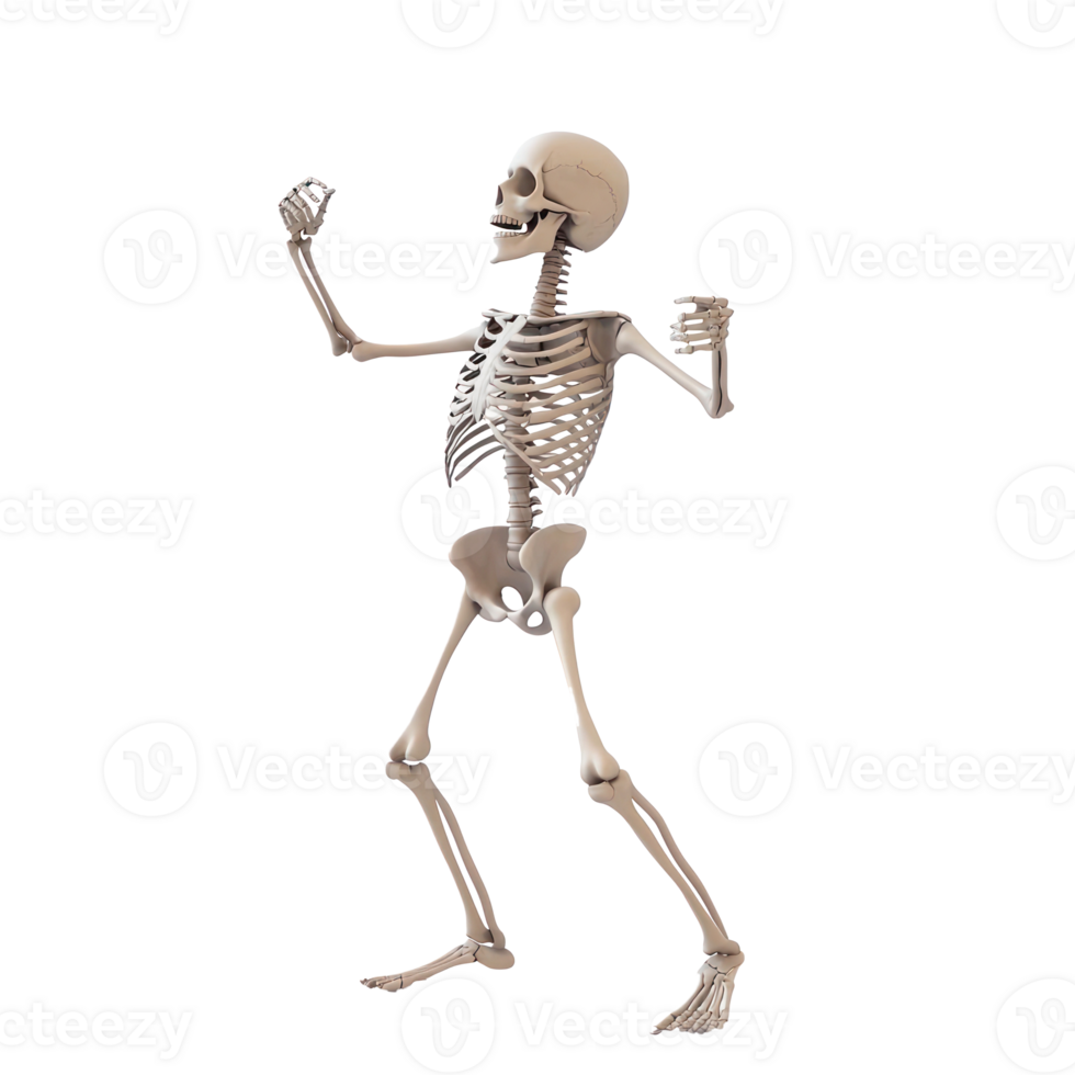 a skeleton is standing on a transparent background png