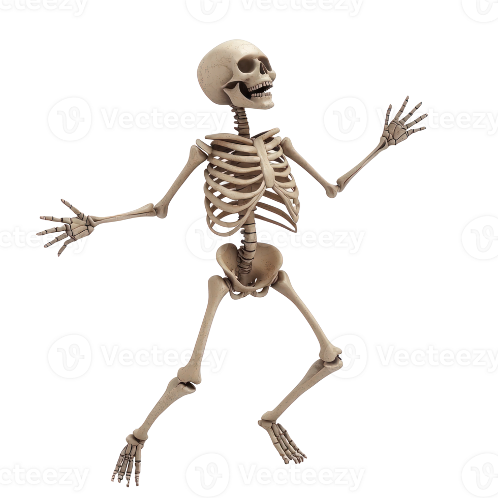 a skeleton is standing on a transparent background png