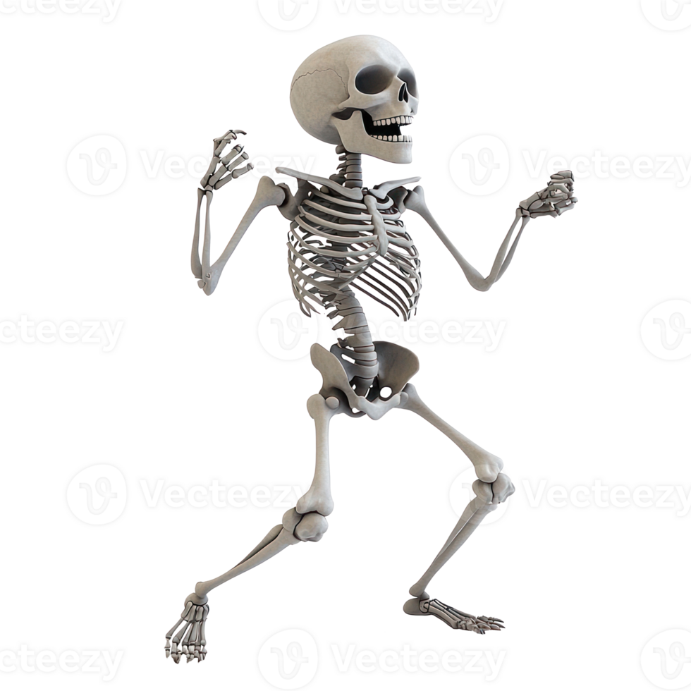 a skeleton is standing on a transparent background png