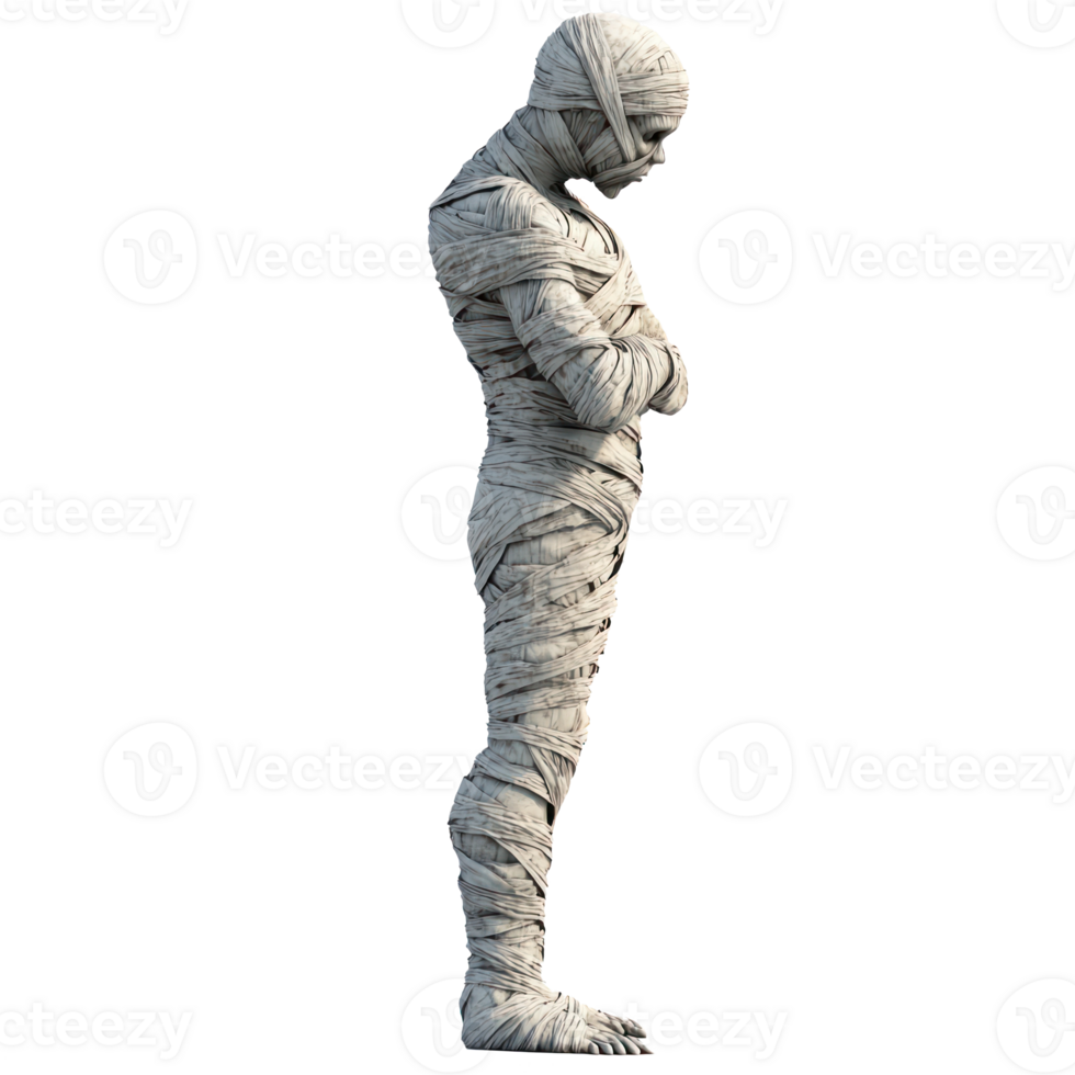 a 3d illustration of a man in a mummy costume png