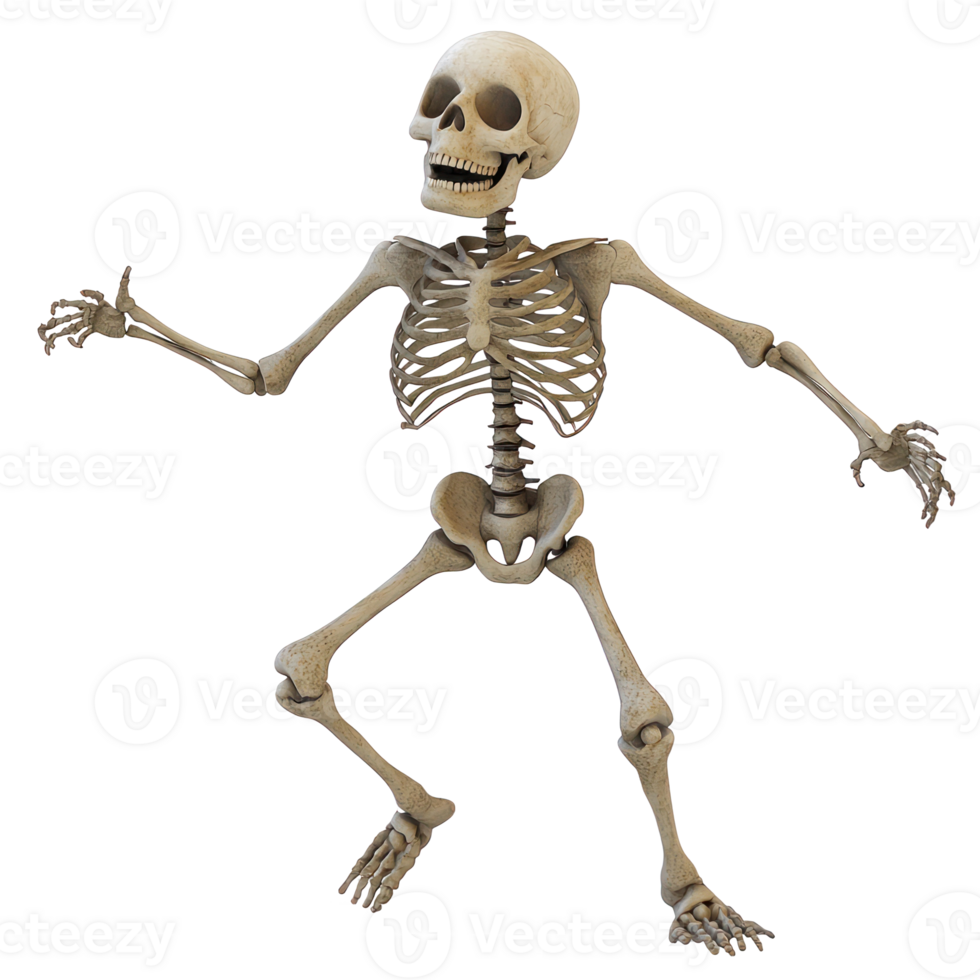 a skeleton is standing on its feet and is holding its arms out png