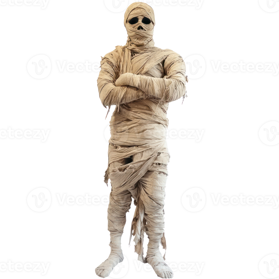 a mummy in a mummy wrap on a transparent background png