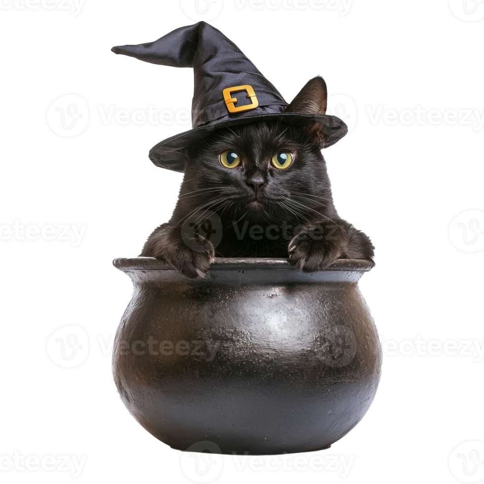 black cat in witch hat sitting in a cauldron png