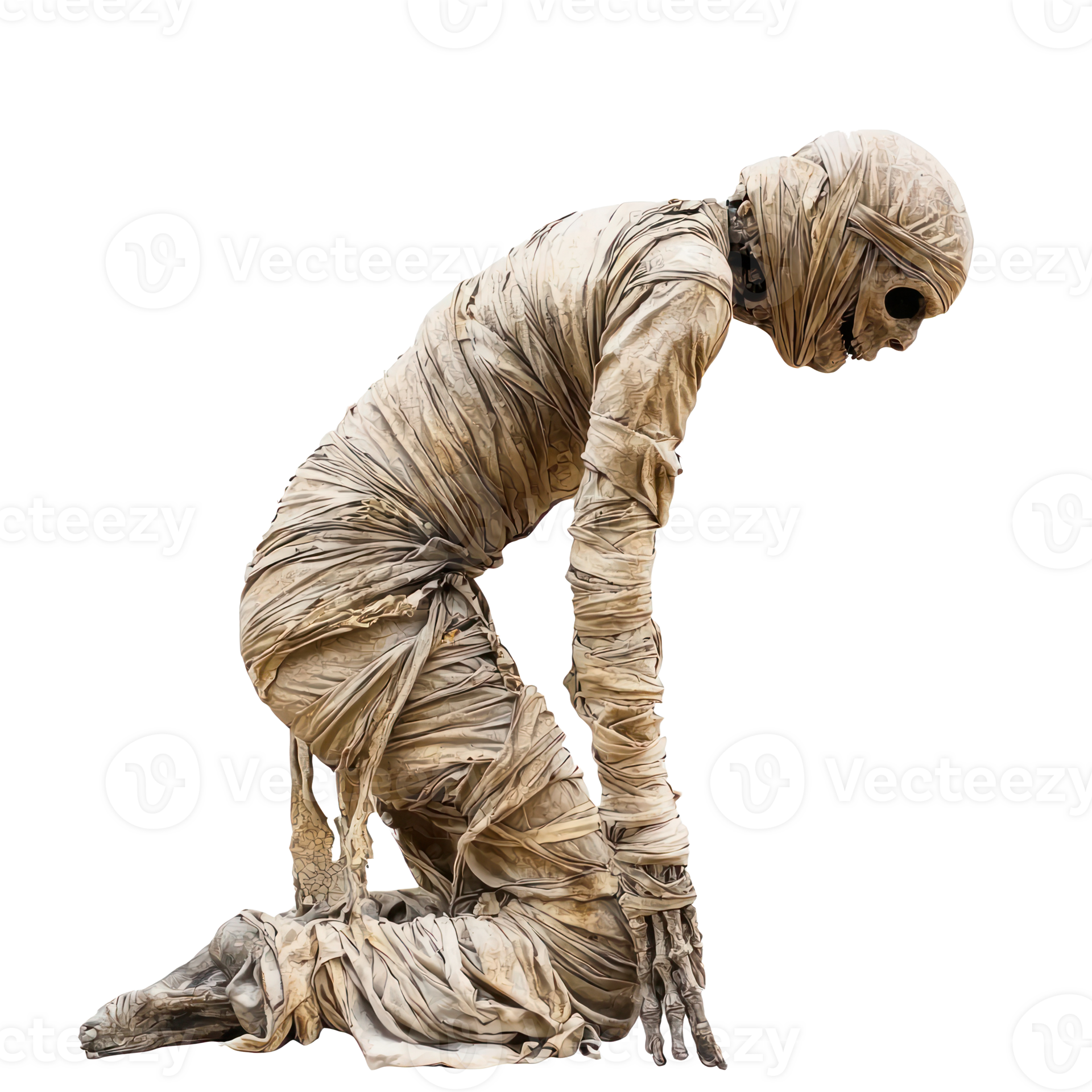 a mummy in a wrap on a transparent background 50173260 PNG