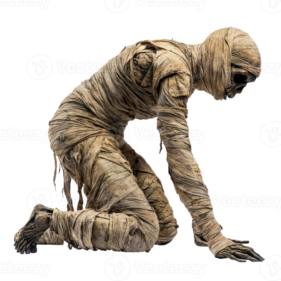a mummy in a bandaged body on a white background png