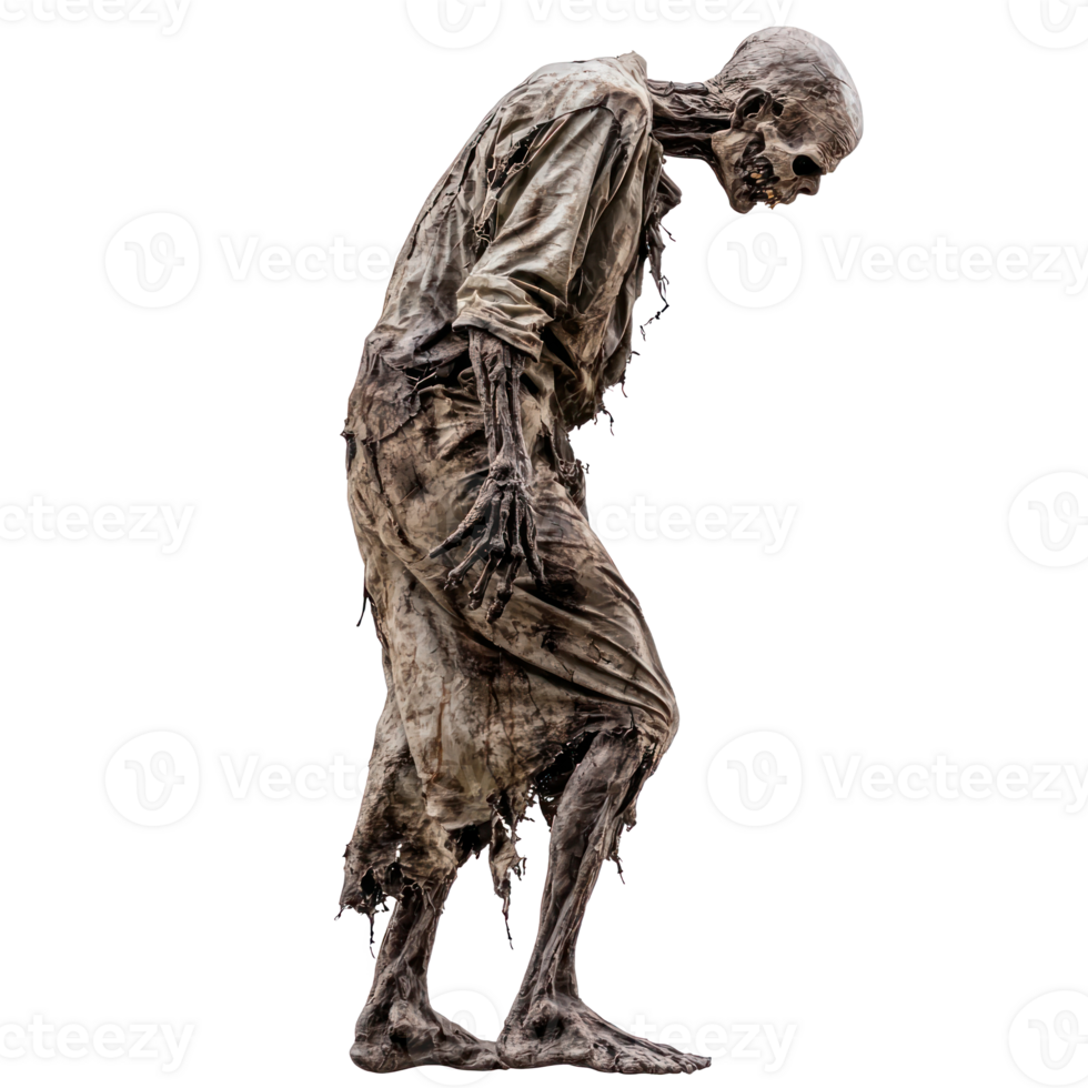 a zombie is standing on a white background png