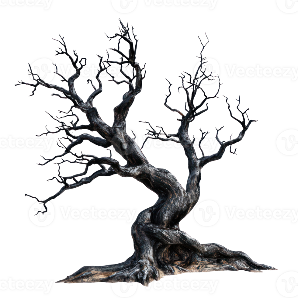 a dead tree on a transparent background png