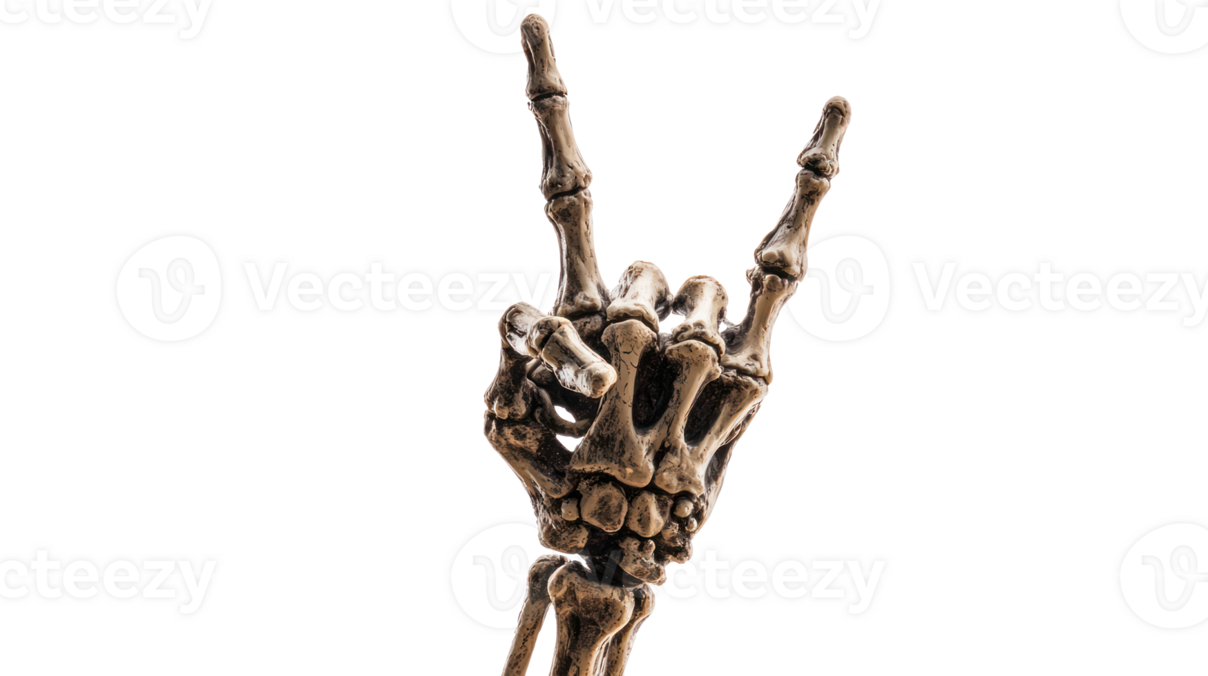 Skeleton hand with Rock gesture isolate on transparency background png