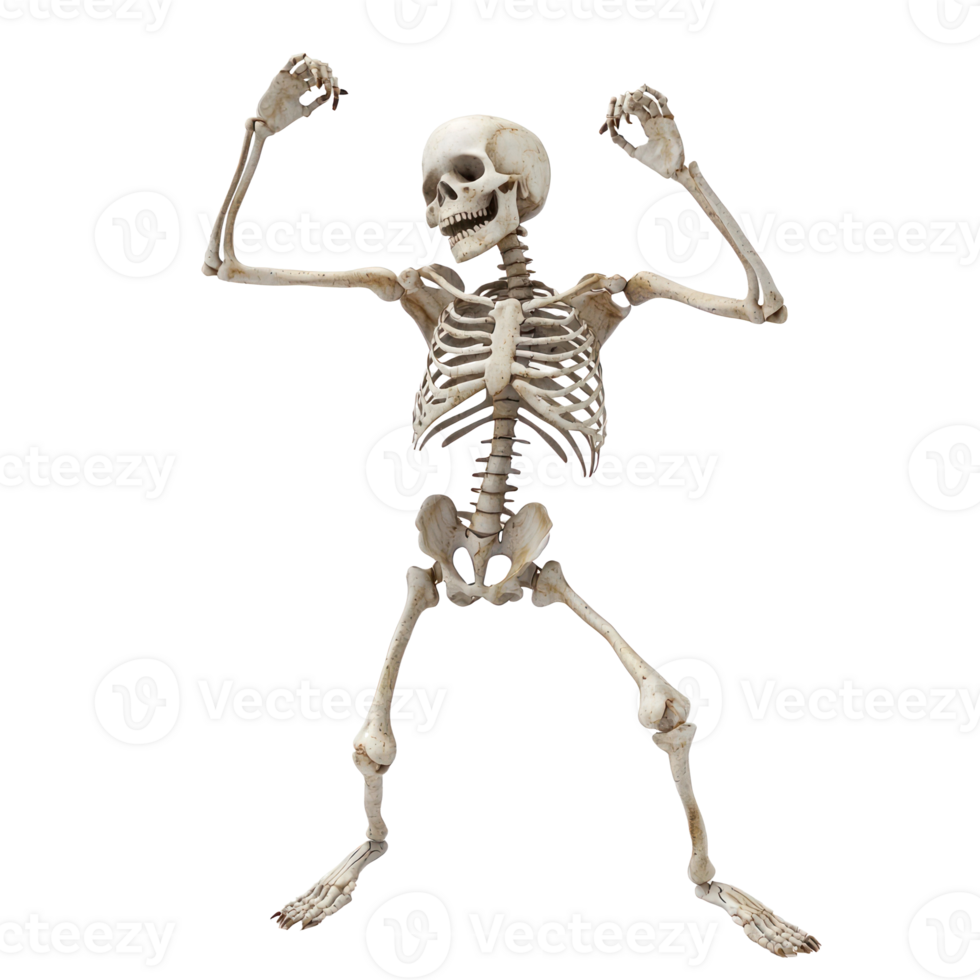 Skeleton dance isolate on transparency background png
