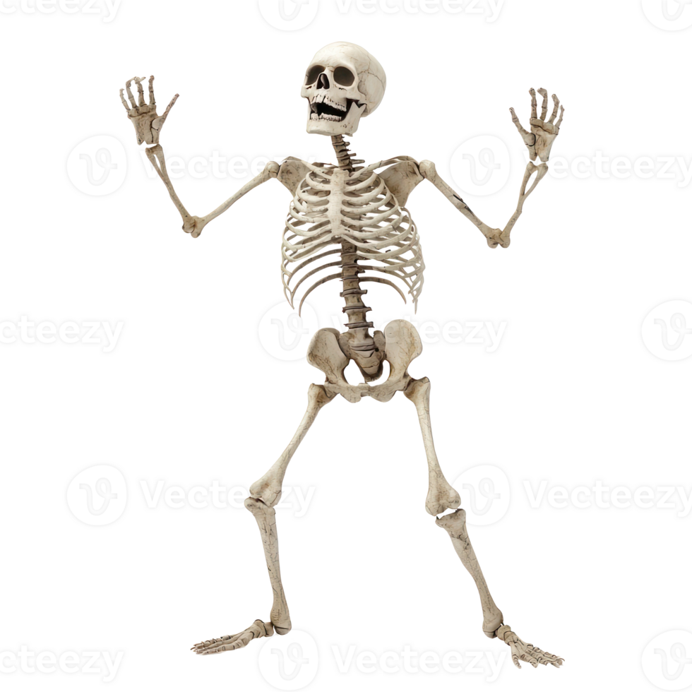 Skeleton dance on transparency background png