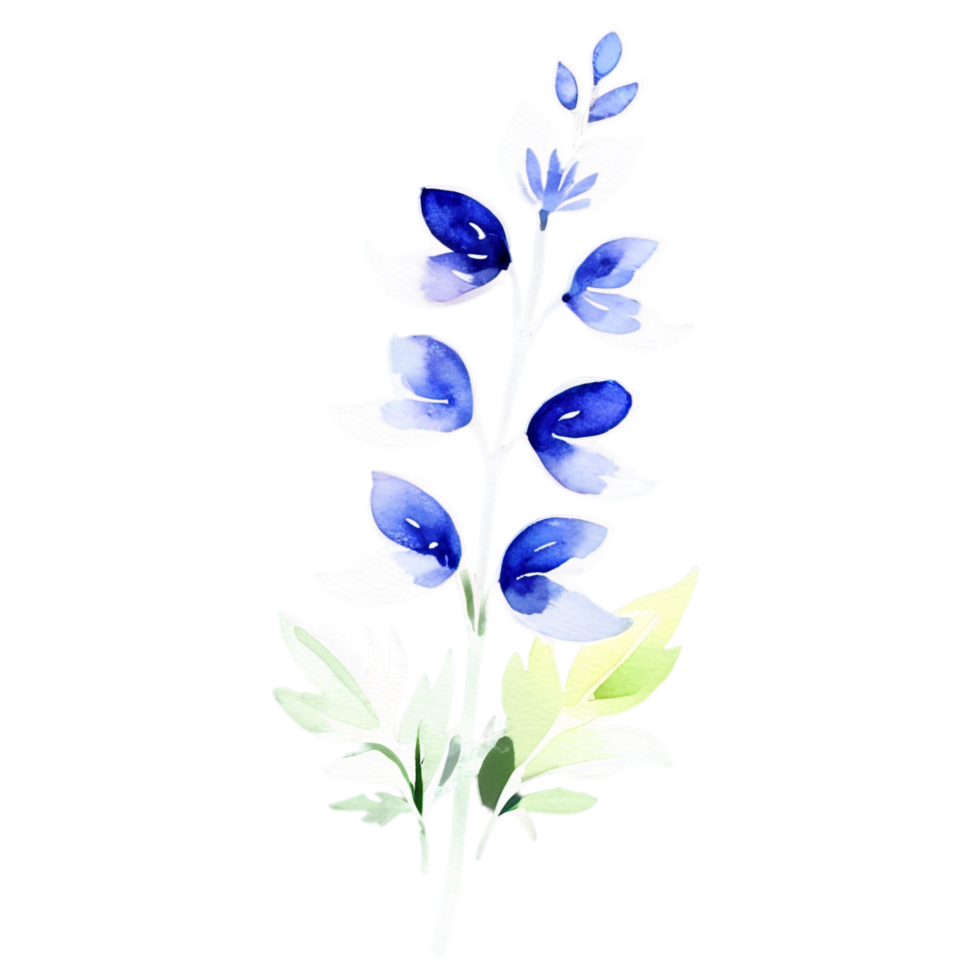 Blue flowers on black background png