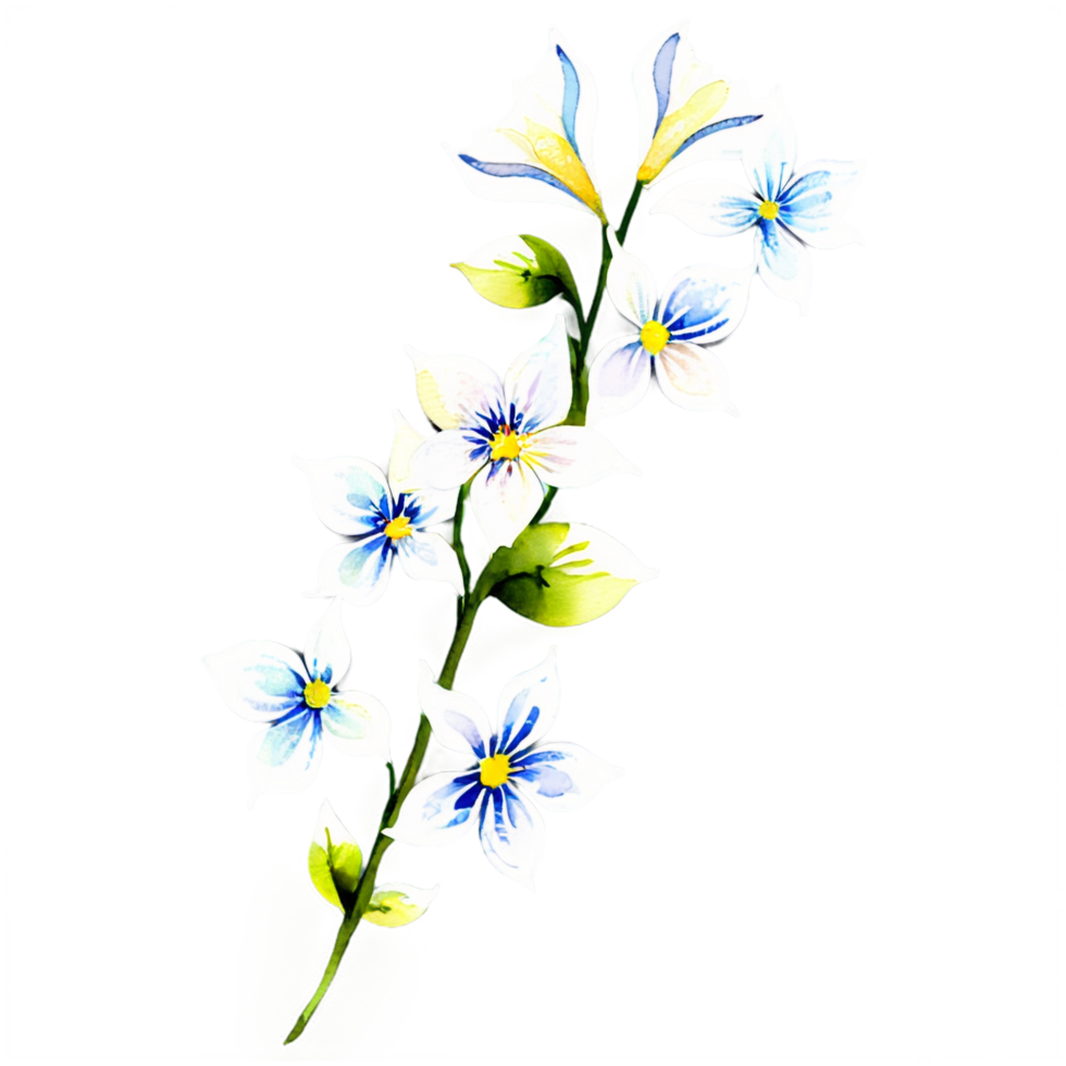 A flower with blue and white flowers on a black background png
