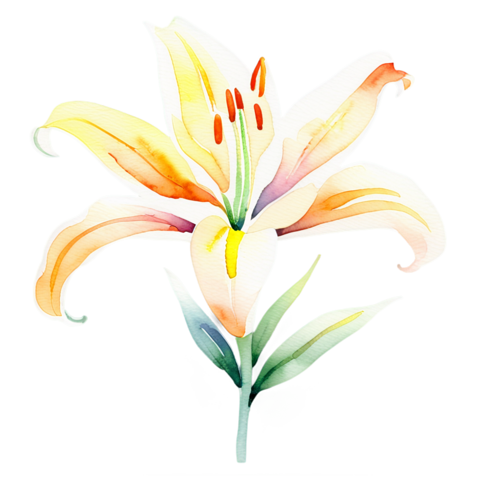 Watercolor lily clipart png