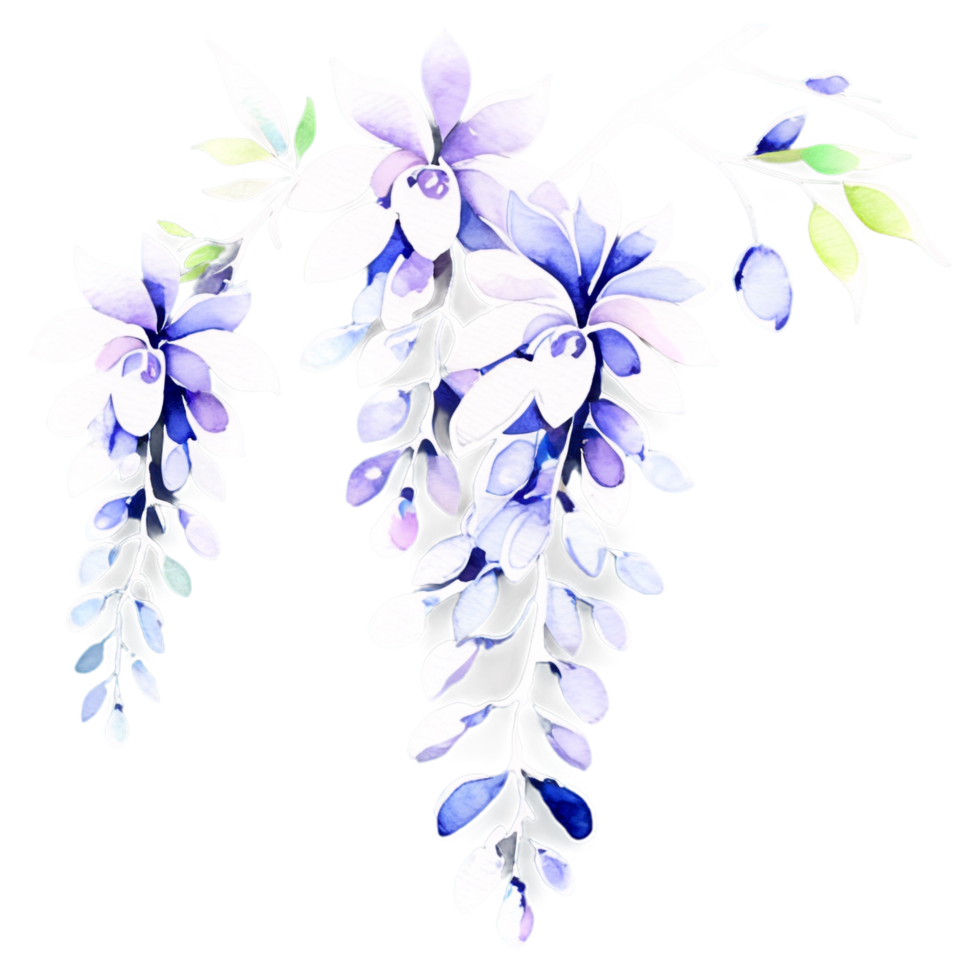Watercolor wisteria flowers on black background png