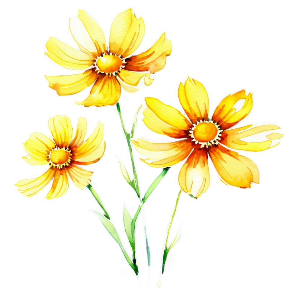 Yellow flowers on a black background png