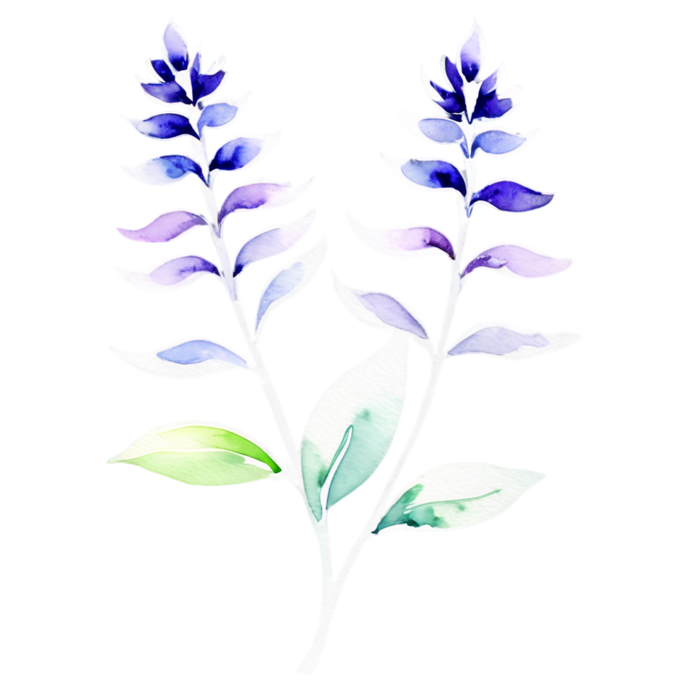 Watercolor illustration of bluebells on black background png