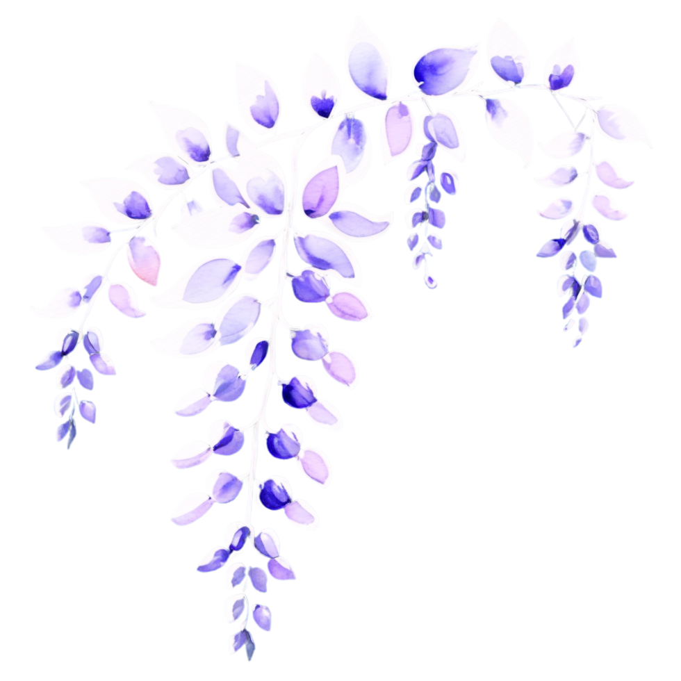Watercolor wisteria branch on black background png
