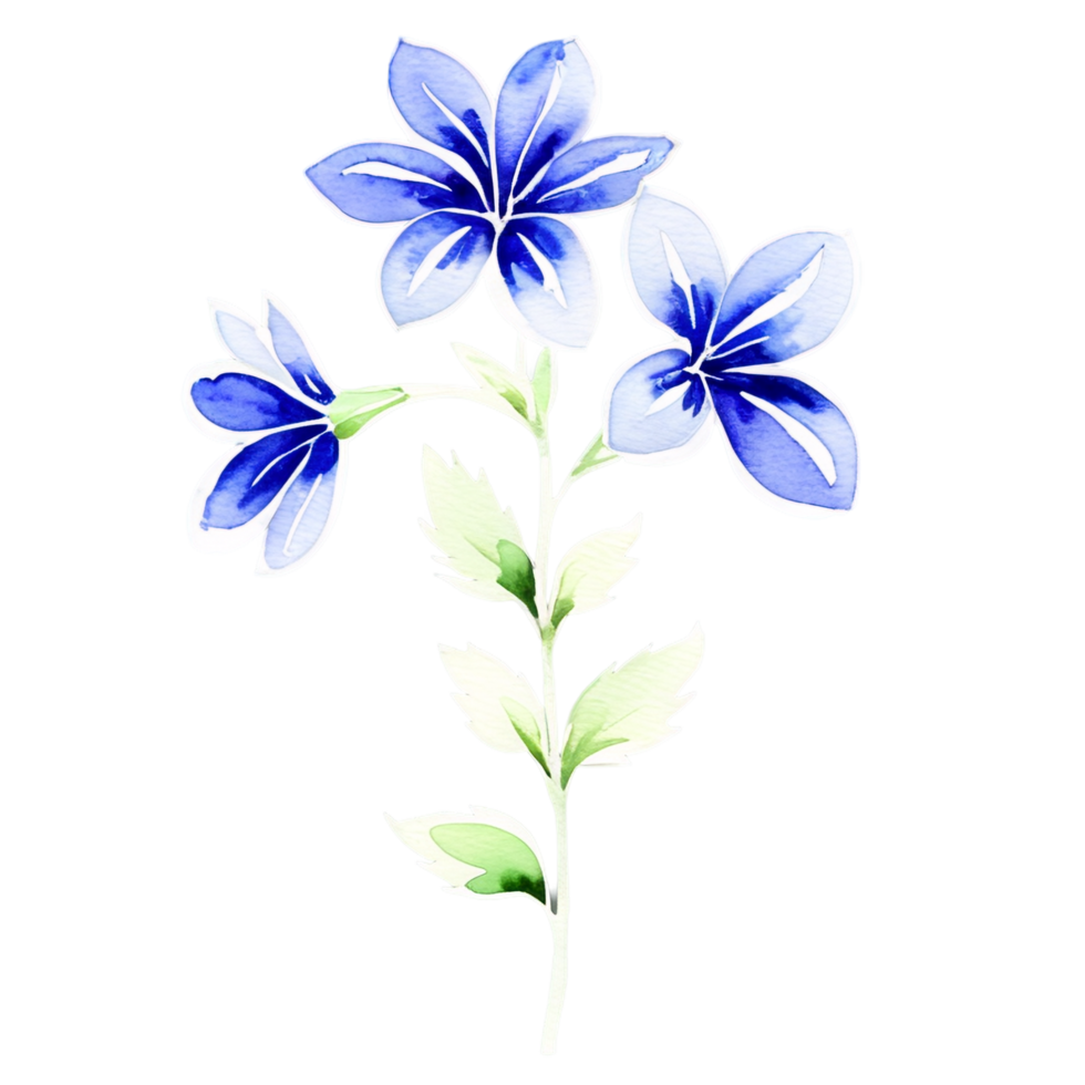 vattenfärg blå blommor på svart bakgrund png