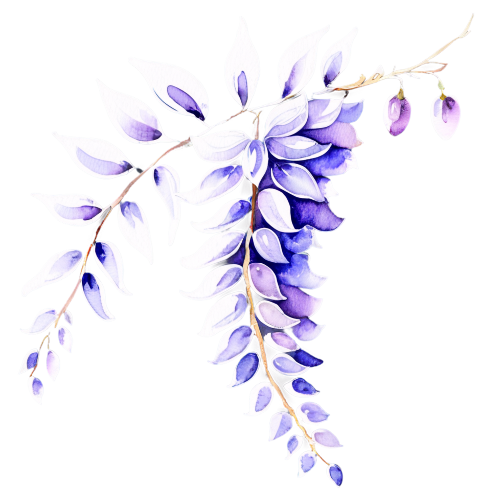 Watercolor painting of purple flowers on a branch png