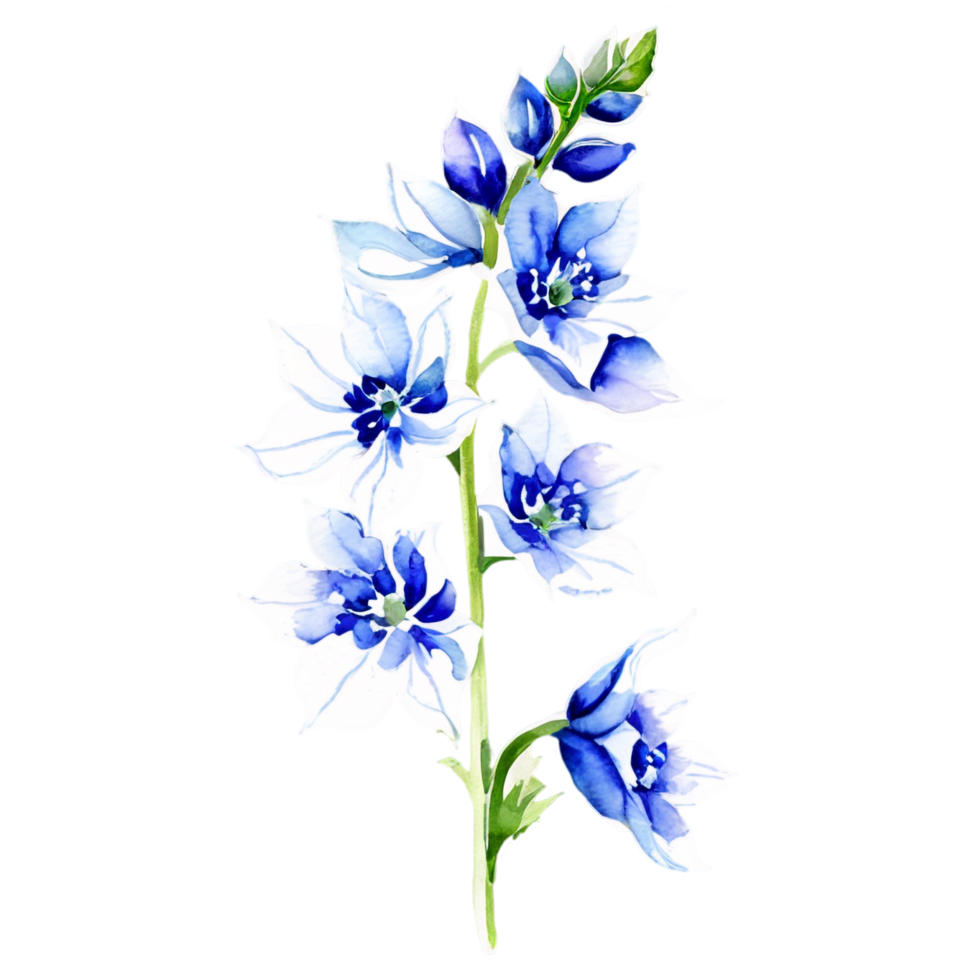 Blue flowers on a black background png