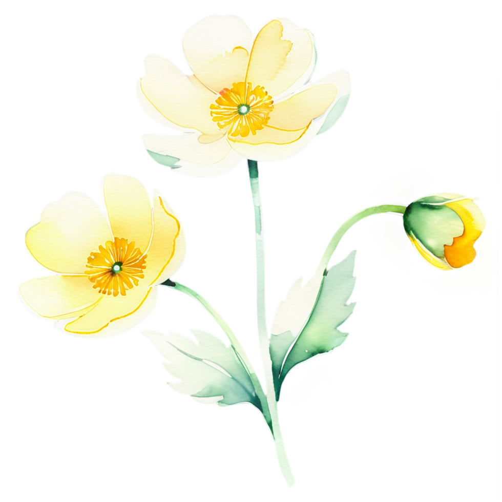 Three yellow flowers are on a black background png
